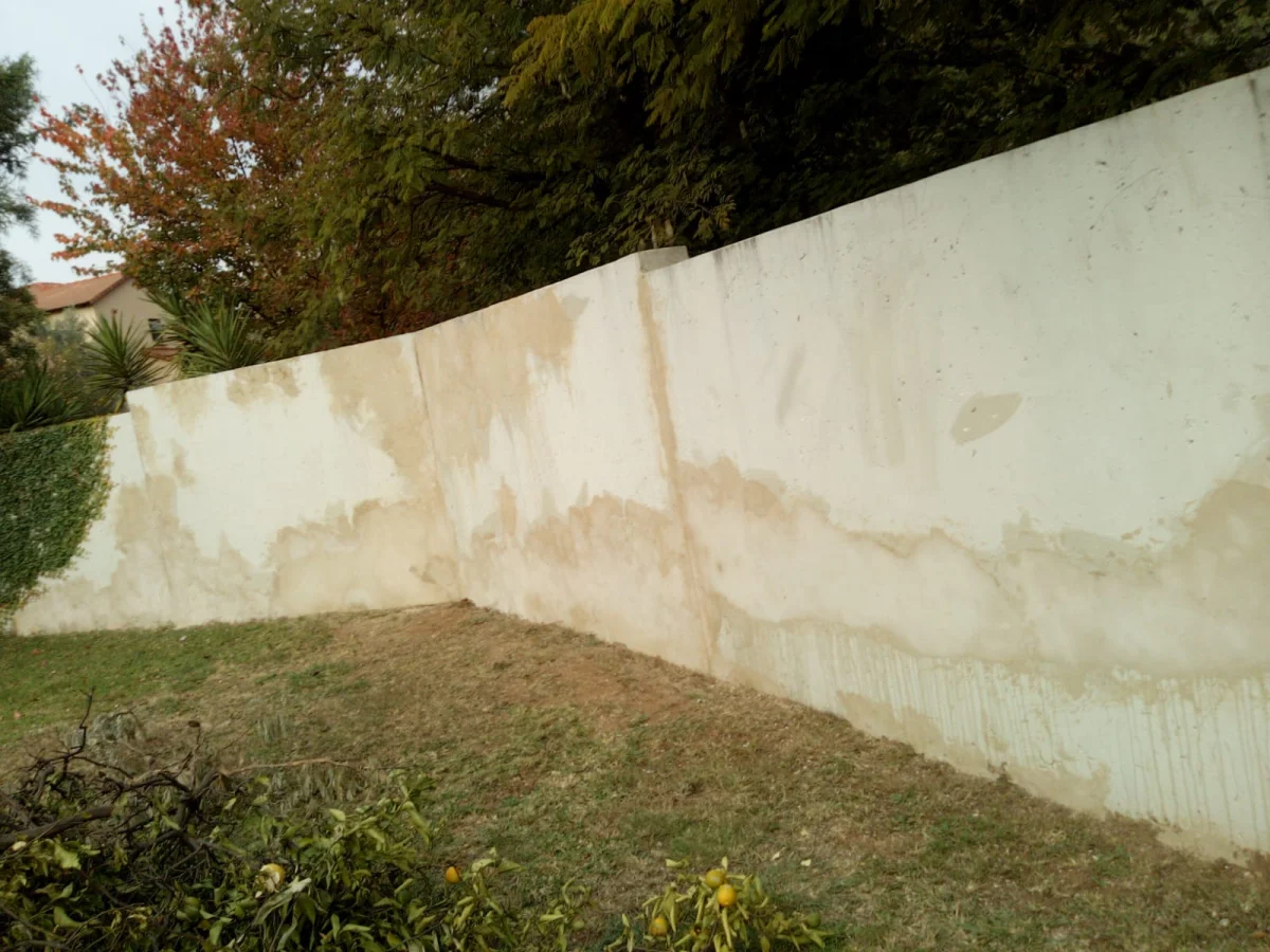 Project photo 3